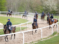 BP140425-11 - Ben Pauling Stable Visit